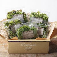 【手土産や贈り物に】 Ortolano オルトラーノ 野菜定期便  (Sコース4回お届け) ギフトカード　二重封筒　熨斗（御祝）（直送品）