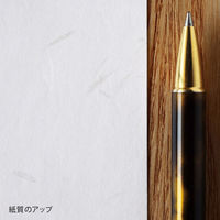 大直 両おもて厚口大直礼状紙 A4 206020004 1箱(50枚入)