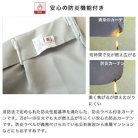 【軒先渡し】マッチングジャパン カーテン市場 防炎、遮光1級カーテン 550×740mm ライトグレー 1枚（直送品）