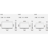 Panasonic パナソニック 4K有機ELテレビ 55V型 TV-55Z95B 1台（直送品）