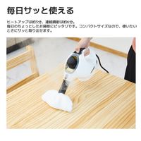 ケルヒャー スチームクリーナー SC MINI 1.516-339.0 1台 KARCHER