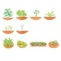 コクヨ 絵本 いろんなおやさいどこになる？ 1冊 KE-WC59