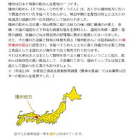 マルツネ 播州逸品そうめん 1セット(1000ｇ×10個) 785066-10（直送品）