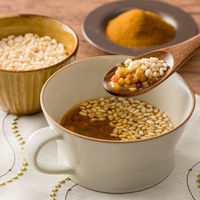 【非常食】 アルファー食品 サクッとライス野菜カレースープ 190g×40 11421733 5年10ヶ月保存 1箱（40袋入）