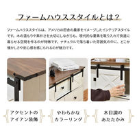 【軒先渡し】B.Bファニシング house スライドドア付きチェスト3段Farm ワイドタイプ ダークブラウン 1台（直送品）