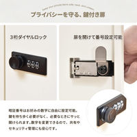 【軒先渡し】B.Bファニシング ロック付き収納 レクタンボックスS 幅300×奥行360×高さ300mm ブラック 1台（直送品）