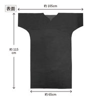 エスパック ディズポ患者衣 1ケース(100枚入) DK-100-AS（直送品）