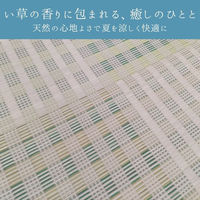 イケヒコ ピース い草カーペット 1910×1910mm ブラウン 1030890061002 1枚（直送品）