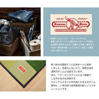 イケヒコ アルディ い草カーペット 1400×2000mm グリーン 1051310122303 1枚（直送品）