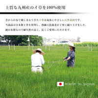 イケヒコ ラルフ い草ラグ 600×900mm カーキ 1080510124604 1枚（直送品）