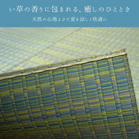 イケヒコ 博多 い草カーペット 1740×1740mm グリーン 1080970120202 1個（直送品）