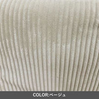 イケヒコ 足こたつ ベージュ 30×48cm 1173530029999 1個（直送品）