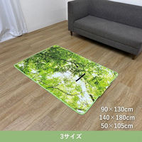 イケヒコ フォレスト ラグ 900×1300mm 1280730010303 1枚（直送品）