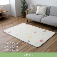 イケヒコ BD虹 リバーシブル マット 1000×1500mm 1302820015101 1枚（直送品）