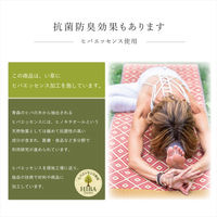 イケヒコ ラティス - 60×180cm 1331070010204 1個（直送品）