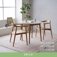 イケヒコ ミラ ラグ 1200×1700mm ピンク 1331420226005 1枚（直送品）