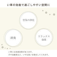 イケヒコ みらい フレグラス 600mm 1370090010904 1枚（直送品）