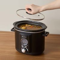 アルファックスコイズミ スロークッカーミニ ASC20/K 1台