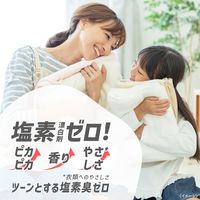 ミューズ 洗濯槽クリーナー オールインワン フレッシュなレモンの香り 液体タイプ 250mL 1本 レキットベンキーザー・ジャパン