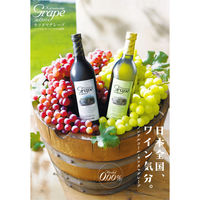 ノンアルコール シャトー勝沼 カツヌマグレープ 赤ワインテイスト 瓶 720ml 1セット（12本）