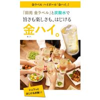 田苑 金ラベル 20度 1.8L パック 1セット（3本） 麦焼酎 田苑酒造