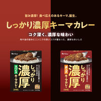 ハウス食品 しっかり濃厚チーズキーマカレー　1セット（1個（150g）×4）　レトルト　レンジ対応