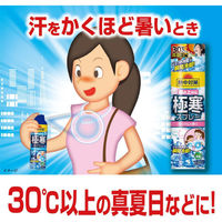 小林製薬　熱中対策 服の上から極寒スプレー せっけん 330ML 870492 1個（わけあり品）