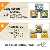 【非常食】ピースアップ 3日分非常食Bセット 10年保存水・5年保存食 HS5B01 10002418 1セット（わけあり品）