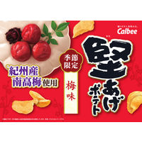 ポテトチップス 食べきりサイズ 堅あげポテト 梅味 60g 1セット（1個×6）