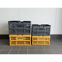 SUNDRY 折りたたみバスケット L グレー 54200059 1個（直送品）