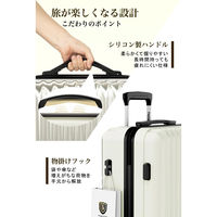 超軽量・ストッパー付Wキャスター・物掛けフック【NT-GB0701 Plus 】 NT-GB0701 Plusホワイト S 1台（直送品）