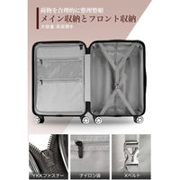 超軽量・ストッパー付Wキャスター・物掛けフック【NT-GB0701 Plus 】 NT-GB0701 Plusローズゴールド L 1台（直送品）