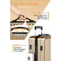 超軽量・ストッパー付Wキャスター・物掛けフック【NT-GB0701 Plus 】 NT-GB0701 PlusゴールドM 1台（直送品）