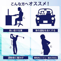 アクセス 坐骨(ざこつ)新ケアサポーター 坐骨神経痛みケア L-LL 6300092513 1着（直送品）