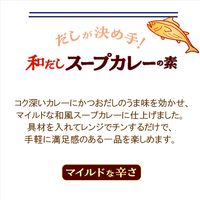 ヤマキ レンジで作る和だしスープカレーの素 50g 1個