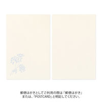 デザインフィル はがき787 5色 10枚入 花色和紙 88787006 1セット(1パック×2)（直送品）