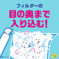 らくハピ バチボコ バブルーン エアコン フィルター 掃除 フレッシュフォレストの香り 300mL 1セット（1本×2）アース製薬