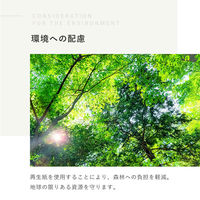 イトマン ありがとう4ロール27.5mダブル【ギフト/ノベルティ/粗品・景品】 10055346 1ケース(24パック)（直送品）