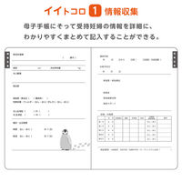 イトマン 10冊 母性看護実習ノート【看護学生/産科/助産師】 80001016 1袋(10冊入)（直送品）
