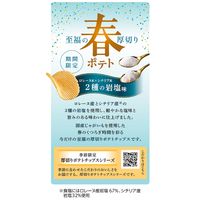 ポテトチップス 食べきりサイズ 春ポテト 2種の岩塩味 60g 1セット（1個×12）