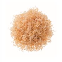 ヤマキ 糸がき 100g 1セット（1個×2）