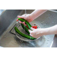 ビーワーススタイル すっきり暮らす盆ざる22cm 持ち上げフック付き 食洗器対応 日本製 LW-930008S 1個（直送品）