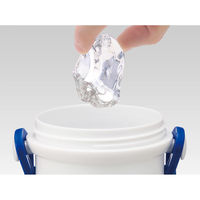 スケーター 水筒 480ml 抗菌直飲プラボトル ドナルドダック 474255 1個（直送品）