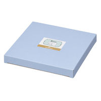 スケーター プレート 19cm サンリオ クロミ 481329 1個（直送品）