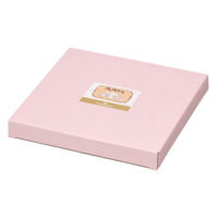 スケーター プレート 19cm サンリオ マイメロディ 481328 1個（直送品）