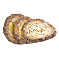 アルタ 箸 すべらせん箸 上 箸置きセット チャーシュー 495122 1個（直送品）