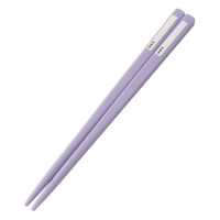 スケーター トリオセット 食洗機対応スライド式トリオ クロミファンシー 497693 1個（直送品）