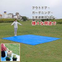 アストロ ブルーシート 厚手(#3000) 3.6×3.6m 530-42 1枚（直送品）