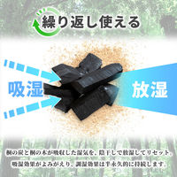 アストロ 消臭 吸湿 桐の炭 M 616-53 1個（直送品）