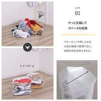 アストロ 衣類圧縮収納セット 623-49 1セット(1個+2枚)（直送品）